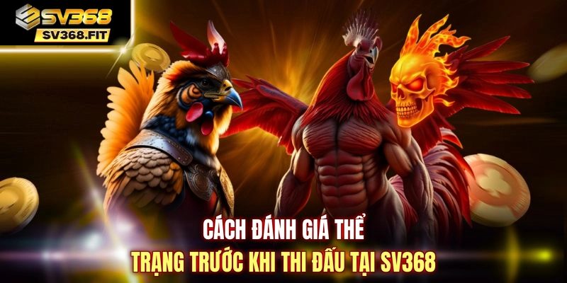 Cách đánh giá thể trạng trước khi thi đấu tại SV368
