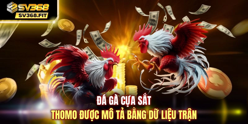 Đá gà cựa sắt Thomo được mô tả bằng dữ liệu trận