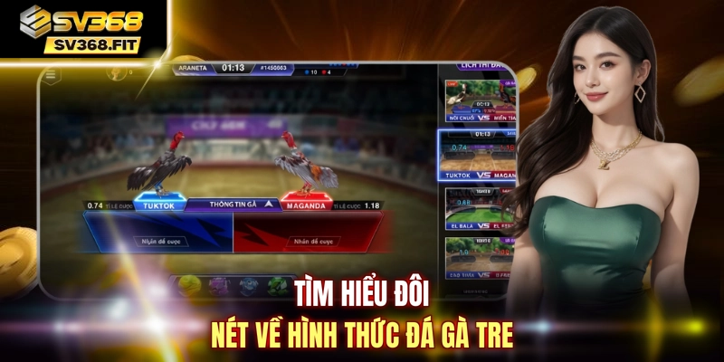 Tìm hiểu đôi nét về hình thức đá gà tre